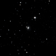 IC 2239