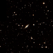 IC 2584