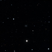 IC 3316
