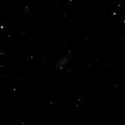 UGC 7919