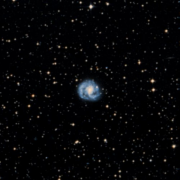 IC 4441