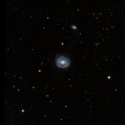 NGC 1136