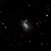 NGC 1156