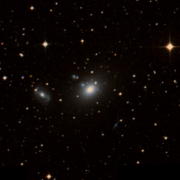 IC 4991