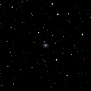 PGC 4446