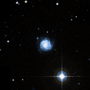 NGC 1309