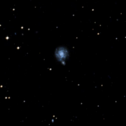 NGC 1347