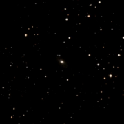 PGC 10202