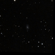 UGC 3557