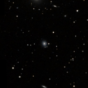 UGC 3893