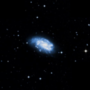 NGC 1559