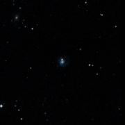 UGC 6303