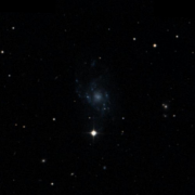 UGC 6446