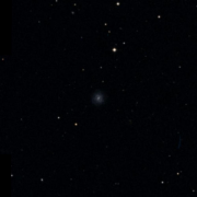 UGC 6505