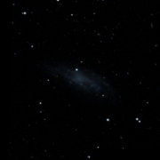 UGC 6955