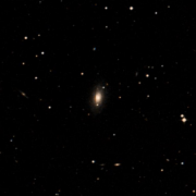 UGC 8262