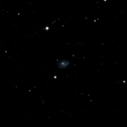 UGC 8294
