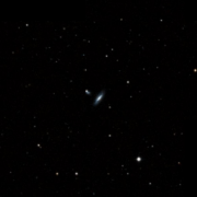 UGC 8361