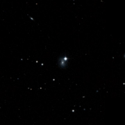 UGC 8383