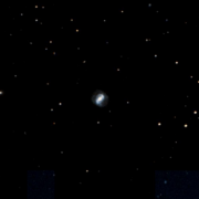 UGC 8521