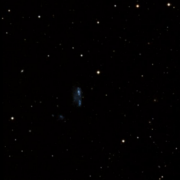 UGC 9504