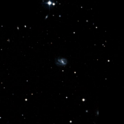 UGC 9594