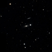 UGC 9981
