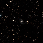 UGC 11555