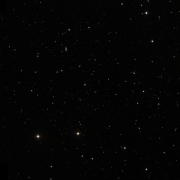 Abell cluster 975