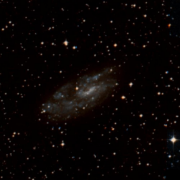 NGC 2427