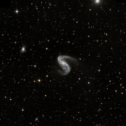 NGC 2443