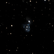 NGC 2445