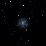 NGC 2500