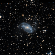 NGC 2566