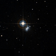 Mrk 1309