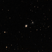 NGC 2877