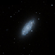 NGC 2976