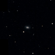 NGC 2981