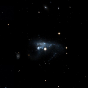 Arp 263