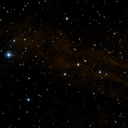 LBN 305