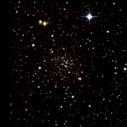 Palomar 11