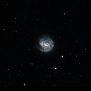 NGC 3367