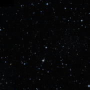 Palomar 15