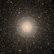 <span style='text-transform:none;'>15-Pup</span>