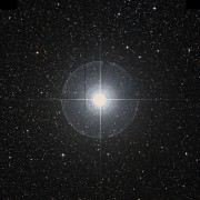 HD 163917