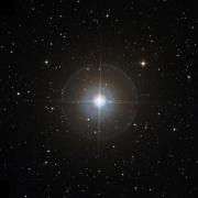 HR 8181