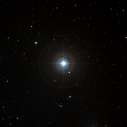 HD 81146