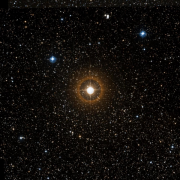 NSV 13548