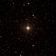 HD 81169