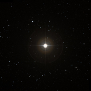 NSV 6631